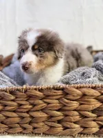 processed/7abbdf24-ea27-4355-9666-3f454f269d4a/listing/7b3dc60c-582a-4dae-a6c5-1ba5fe6bfefa/f4b779b4-072b-4c6d-86d4-a564ac486da1