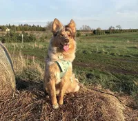 processed/7abbdf24-ea27-4355-9666-3f454f269d4a/listing/7b3dc60c-582a-4dae-a6c5-1ba5fe6bfefa/f5ce7df8-ee42-4f44-a188-65e2b901b4a6