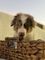 processed/7abbdf24-ea27-4355-9666-3f454f269d4a/listing/7b3dc60c-582a-4dae-a6c5-1ba5fe6bfefa/f88c4ee7-556e-4089-a96b-1fe91a565917