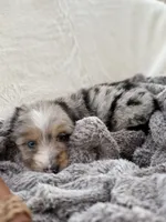 processed/7abbdf24-ea27-4355-9666-3f454f269d4a/listing/b3be1d23-fc8f-44ea-a43c-792f69dad024/059d8188-e78a-4430-87f0-11d02ed85436