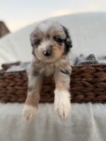 processed/7abbdf24-ea27-4355-9666-3f454f269d4a/listing/b3be1d23-fc8f-44ea-a43c-792f69dad024/1ef248b2-f7dd-41c2-ba64-b7438a60b9ce