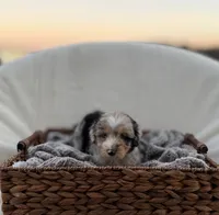 processed/7abbdf24-ea27-4355-9666-3f454f269d4a/listing/b3be1d23-fc8f-44ea-a43c-792f69dad024/25589806-c826-40ef-aec3-9ee207f6953a