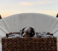 processed/7abbdf24-ea27-4355-9666-3f454f269d4a/listing/b3be1d23-fc8f-44ea-a43c-792f69dad024/320773b5-aa9f-44ce-968e-e28423661495