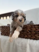 processed/7abbdf24-ea27-4355-9666-3f454f269d4a/listing/b3be1d23-fc8f-44ea-a43c-792f69dad024/bd218a72-5406-468f-9f04-5c08860a753a