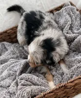 processed/7abbdf24-ea27-4355-9666-3f454f269d4a/listing/b3be1d23-fc8f-44ea-a43c-792f69dad024/cee0de6b-c70e-4e2e-b5ea-818a0fe6047d