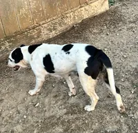 processed/7abbdf24-ea27-4355-9666-3f454f269d4a/listing/e64d58d5-f2b4-4067-bab0-343b9959d0c8/37d49119-2da4-411b-8239-274678b5c92e