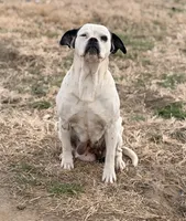 processed/7abbdf24-ea27-4355-9666-3f454f269d4a/listing/e64d58d5-f2b4-4067-bab0-343b9959d0c8/6195968a-ec30-4590-a783-cbb16286a8cc