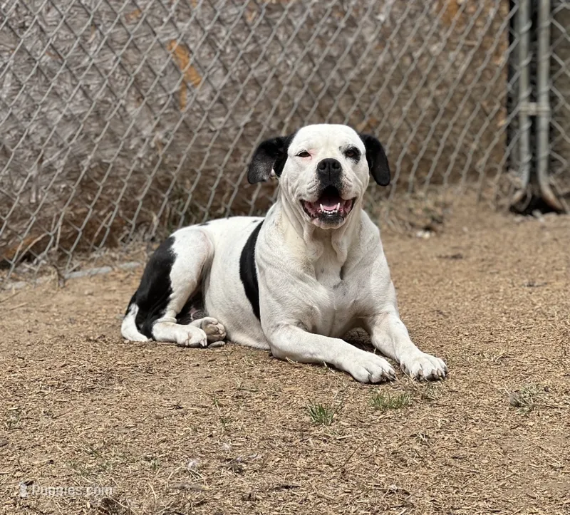 Moonie 🩷 Black & White Girl