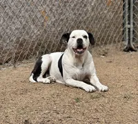 processed/7abbdf24-ea27-4355-9666-3f454f269d4a/listing/e64d58d5-f2b4-4067-bab0-343b9959d0c8/a15b24d4-1a90-45aa-af80-df7c688cc943