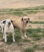 processed/7abbdf24-ea27-4355-9666-3f454f269d4a/listing/e64d58d5-f2b4-4067-bab0-343b9959d0c8/ca9f345f-9964-4b2c-a866-492046c0b96b