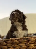 processed/7abbdf24-ea27-4355-9666-3f454f269d4a/listing/fcd9c33a-95ca-43b4-bb88-ffd35480cce7/10ad0a8c-eb16-4a55-8ed0-f4c503a9fd73