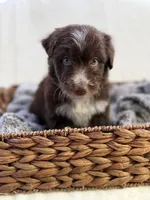 processed/7abbdf24-ea27-4355-9666-3f454f269d4a/listing/fcd9c33a-95ca-43b4-bb88-ffd35480cce7/510f5271-02cd-476d-837b-7e3bf78e54f2