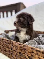 processed/7abbdf24-ea27-4355-9666-3f454f269d4a/listing/fcd9c33a-95ca-43b4-bb88-ffd35480cce7/5f1c4f73-3375-4088-baed-96ac30809fc0