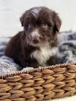 processed/7abbdf24-ea27-4355-9666-3f454f269d4a/listing/fcd9c33a-95ca-43b4-bb88-ffd35480cce7/64d60cc7-9726-4674-b2fe-f45d4569a286