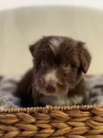 processed/7abbdf24-ea27-4355-9666-3f454f269d4a/listing/fcd9c33a-95ca-43b4-bb88-ffd35480cce7/7eb65ea4-977a-46c7-8abf-473eaefdcf15