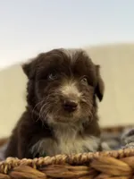 processed/7abbdf24-ea27-4355-9666-3f454f269d4a/listing/fcd9c33a-95ca-43b4-bb88-ffd35480cce7/9ae32e5f-2047-4c04-9602-399dca4fea4a