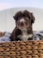 processed/7abbdf24-ea27-4355-9666-3f454f269d4a/listing/fcd9c33a-95ca-43b4-bb88-ffd35480cce7/a65f98bd-c65b-4ab0-8656-b95744adbc06