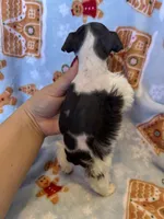 processed/7ac32a3d-b405-47c7-946d-b5f0ea708322/listing/6fe75cb7-df05-4f4a-86e2-fda580f1ac6d/20731915-1780-4cbb-81d3-a039a3816534