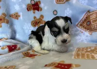 processed/7ac32a3d-b405-47c7-946d-b5f0ea708322/listing/6fe75cb7-df05-4f4a-86e2-fda580f1ac6d/43408824-1d71-433e-a29b-b6502a534a42