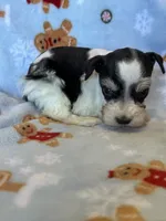 processed/7ac32a3d-b405-47c7-946d-b5f0ea708322/listing/6fe75cb7-df05-4f4a-86e2-fda580f1ac6d/79684503-ef9b-4554-89fa-2851b0a3e0ff