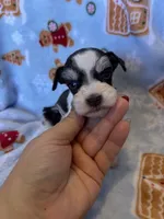 processed/7ac32a3d-b405-47c7-946d-b5f0ea708322/listing/6fe75cb7-df05-4f4a-86e2-fda580f1ac6d/931fcdd3-68c5-422e-91b5-e483a25532c6