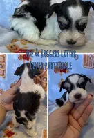 processed/7ac32a3d-b405-47c7-946d-b5f0ea708322/listing/6fe75cb7-df05-4f4a-86e2-fda580f1ac6d/eee51db5-8c97-41fc-a1d4-a6719c65bace