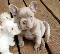 processed/7accf72d-14eb-47d5-8243-cf402a17caa8/facility/5aaabb5c-22bd-434e-a3cb-08cbaa55f57d