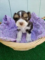 processed/7accf72d-14eb-47d5-8243-cf402a17caa8/facility/b00254d3-d33e-477a-9c4c-98700783c26e