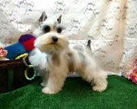 processed/7accf72d-14eb-47d5-8243-cf402a17caa8/facility/e2885cb5-0427-4278-aa67-28974ce6ef45