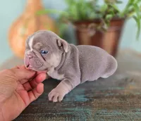 processed/7accf72d-14eb-47d5-8243-cf402a17caa8/facility/e5de43b2-c59a-48fa-959c-9b08fadd9d33