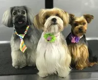 processed/7accf72d-14eb-47d5-8243-cf402a17caa8/facility/f7571142-c1e2-4f9e-b6cf-6e888d43fbdf