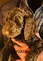 processed/7ad3cfca-449d-43be-b354-93185a1cdba7/listing/348445b4-d771-4315-840c-c374fbb55e3c/e63e3751-1564-41fc-a918-303722c7bb94