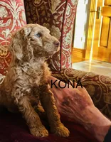 processed/7ad3cfca-449d-43be-b354-93185a1cdba7/listing/50c101e6-480e-4433-a508-bb9f04e546a7/e85a09d6-9583-4731-8188-5241693ddb8e