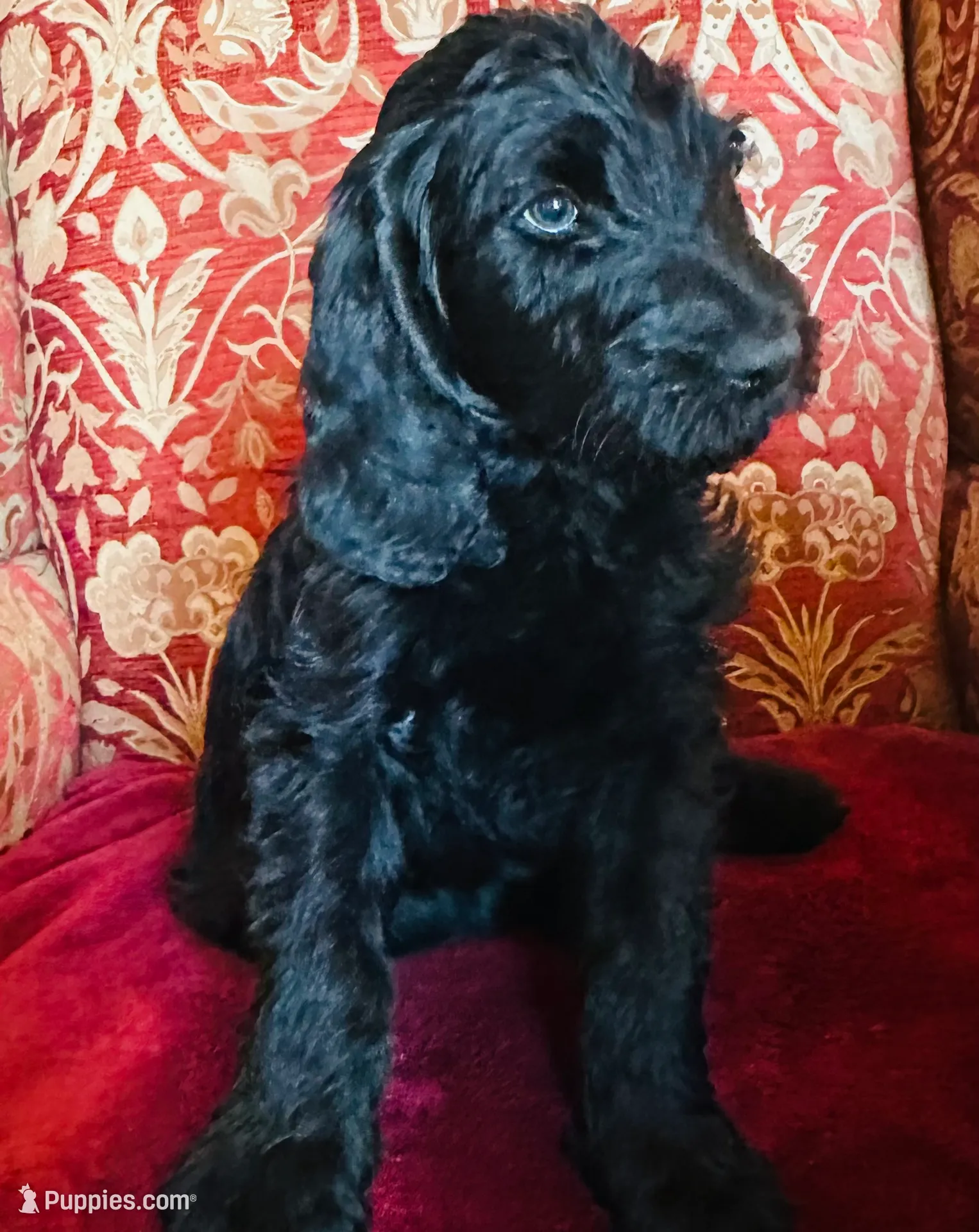 processed/7ad3cfca-449d-43be-b354-93185a1cdba7/listing/b0b4b640-7c1e-45ca-9c97-be0ca7e9e207/1d97e92b-7072-4183-93d4-098c3e1f1ddc