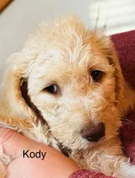 processed/7ad3cfca-449d-43be-b354-93185a1cdba7/listing/b19b28b0-8a15-440e-b5b3-f95f21b8aeed/5c030f17-c2b8-4408-8c01-a7d1bb922657