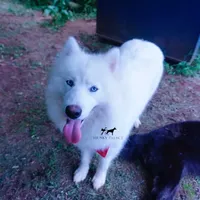 processed/7ad9bbb3-8625-4fcb-baed-874ea6dd0e04/facility/2bd0389a-879a-40fb-9c99-231ae8b74f38