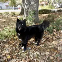 processed/7ad9bbb3-8625-4fcb-baed-874ea6dd0e04/facility/2cb130fc-d5c0-45e1-992e-4e81fd798405