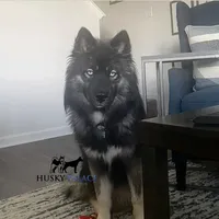 processed/7ad9bbb3-8625-4fcb-baed-874ea6dd0e04/facility/353f37c1-9f31-46a3-8939-583bf2eb2199