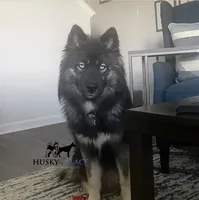 processed/7ad9bbb3-8625-4fcb-baed-874ea6dd0e04/facility/353f37c1-9f31-46a3-8939-583bf2eb2199