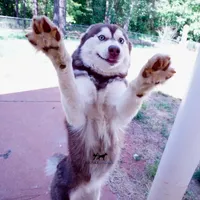 processed/7ad9bbb3-8625-4fcb-baed-874ea6dd0e04/facility/3691f8f0-6698-4fde-b983-4b0f1d756c49