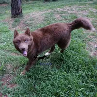 processed/7ad9bbb3-8625-4fcb-baed-874ea6dd0e04/facility/5e122df9-66cd-4ab2-8971-6bcbf11dbdd7