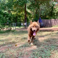 processed/7ad9bbb3-8625-4fcb-baed-874ea6dd0e04/facility/9cb842a3-a50d-4397-93ed-fbea9b126e96