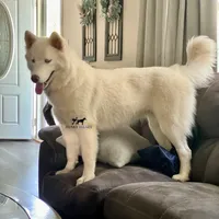 processed/7ad9bbb3-8625-4fcb-baed-874ea6dd0e04/facility/c83d7a2d-d05b-4fc8-b7f4-f8190c0b697f