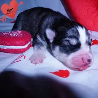 processed/7ad9bbb3-8625-4fcb-baed-874ea6dd0e04/listing/089e5677-ef27-42ed-853d-b438aa0f6aa6/e5ac316b-e843-4028-8201-9bc81e973b47