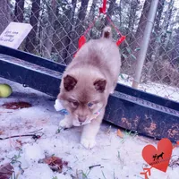 processed/7ad9bbb3-8625-4fcb-baed-874ea6dd0e04/listing/38572d20-2993-4fdb-896b-a342f2cd1805/6c342aef-d025-42c3-b698-a7a82972f5e4