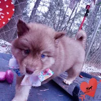 processed/7ad9bbb3-8625-4fcb-baed-874ea6dd0e04/listing/38572d20-2993-4fdb-896b-a342f2cd1805/a213d55c-f1fe-4d42-996c-0acd6cbf25b7