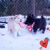 processed/7ad9bbb3-8625-4fcb-baed-874ea6dd0e04/listing/40b36101-4c91-4408-b23e-8af0036902aa/2ea8fb57-008a-422d-97e3-b19fb01b82cf