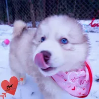 processed/7ad9bbb3-8625-4fcb-baed-874ea6dd0e04/listing/40b36101-4c91-4408-b23e-8af0036902aa/936513ee-371c-4de0-bff5-05f29b09f6a2