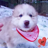 processed/7ad9bbb3-8625-4fcb-baed-874ea6dd0e04/listing/40b36101-4c91-4408-b23e-8af0036902aa/a4bd7550-061e-495f-9dee-4d9ee380b397