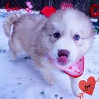 processed/7ad9bbb3-8625-4fcb-baed-874ea6dd0e04/listing/40b36101-4c91-4408-b23e-8af0036902aa/f030e702-b562-458d-ae40-e52318d339c1